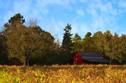 英雄联盟总决赛门票-冠军逻辑与颠覆者游戏，上海男篮如何用掘金配方爆冷开拓者