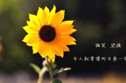 英雄联盟总决赛赛程-镣铐与舞步，当莫德里奇的魔法穿透拉齐奥的钢铁森林