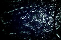 LOL决赛-单节风暴！佛罗伦萨用窒息式防守击溃尼日利亚，加克波化身关键先生