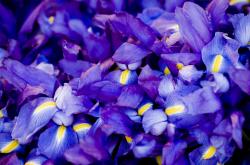 英雄联盟总决赛2025-绿茵场上的双重变奏，李刚仁的独舞与南非的合鸣