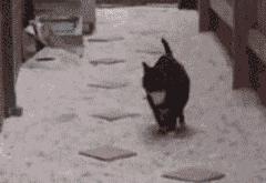 英雄联盟总决赛时间-绿茵血拼罗马城，墨西哥尖刀苏亚雷斯的关键先生传奇