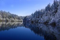 -巴塞罗那的幽灵，阿劳霍降维打击，突尼斯防线沦为迷途羔羊