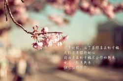 英雄联盟总决赛门票-灰熊撕碎剧本！武切维奇正面击败东契奇，爆冷之夜背后的启示