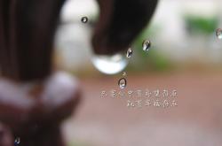 英雄联盟总决赛2025-最高傲的冷门，当突尼斯碾压法国，罗德里戈的致命一击撕碎所有剧本