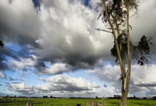 最新世界杯：德国止步掘金！技术统计揭开钢铁战车熄火真相