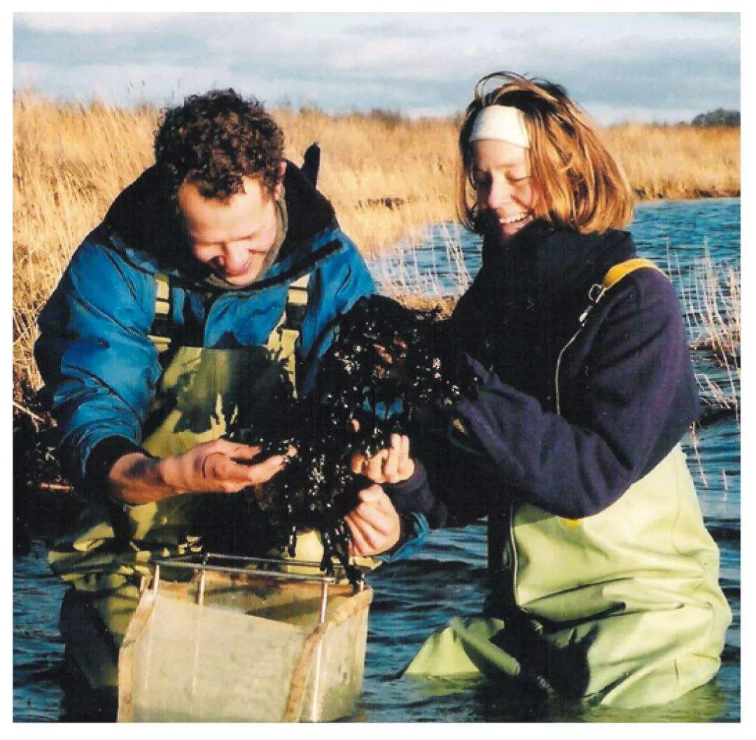 梅斯一系列挫败，遭受低空剃头的简单介绍