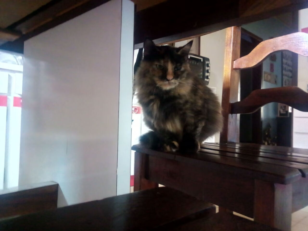 压力幻觉，当尼斯对阵AC米兰，佩德里如何在新维度完成爆发？