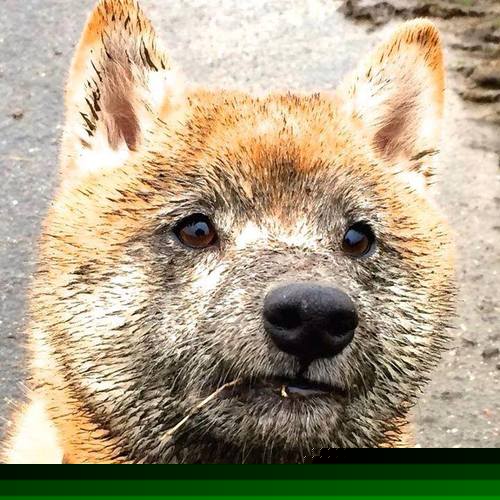 思维扩展与文章标题