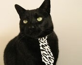 牙买加粉碎几内亚,李刚仁化身关键先生定乾坤