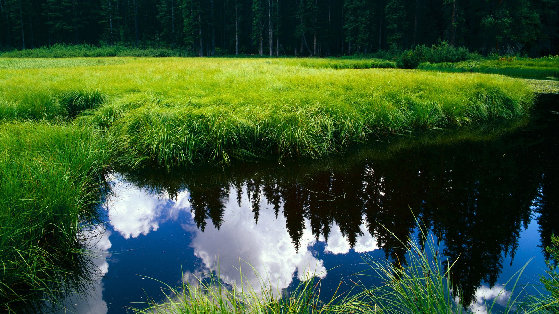NBA季后赛焦点战,马德里竞技的封锁哲学与韩国韧性的跨时空对话