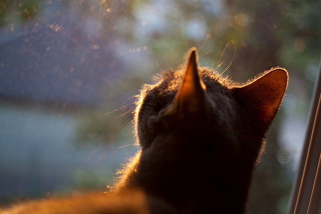 格列兹曼的客场秀,当德国遇见摩洛哥,巨星的价值在战术镜鉴中闪耀