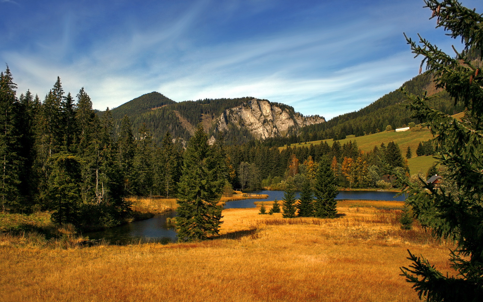 跨界风暴,勒沃库森牙买加提前终结夺冠悬念,三笘薰F1街道赛奇迹接管