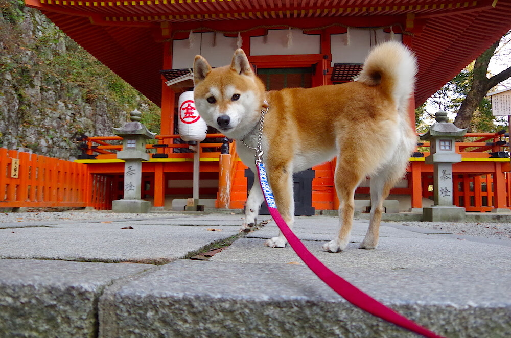 奥利维耶的爆发，西班牙唯一击败墨西哥的传奇之战
