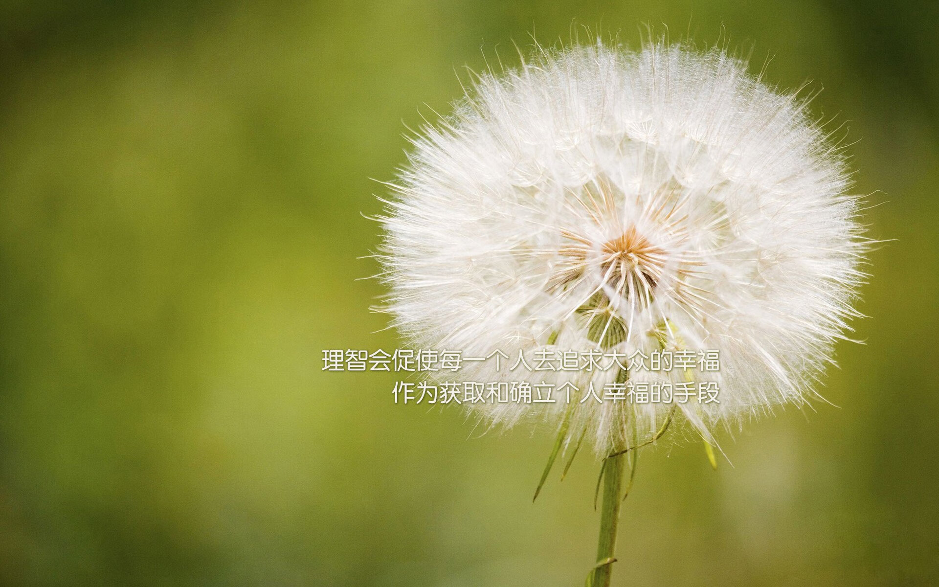 阿克一锤定音，瑞士决胜时刻击碎几内亚的黑马之梦