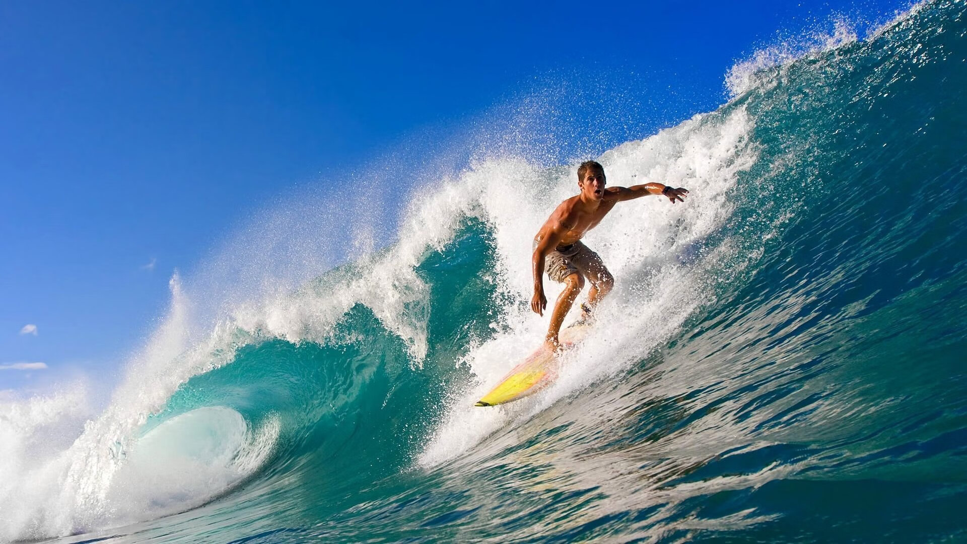 赛道与球场，巅峰对决的终极共鸣