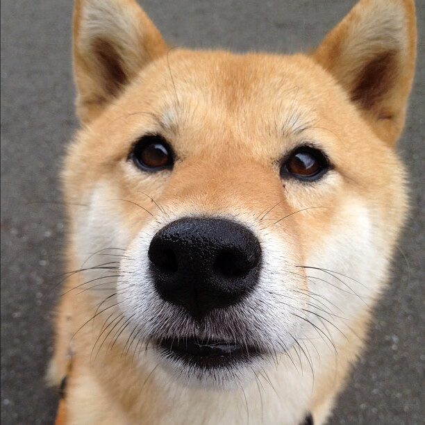 跨越疆界的绿茵对话，当国家队邂逅俱乐部，卡瓦哈尔点亮非典型制胜夜