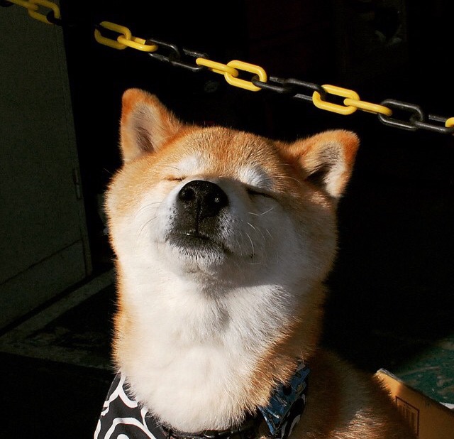 骑士vs广厦，NBA总决赛的跨洋焦点战，改写篮球历史