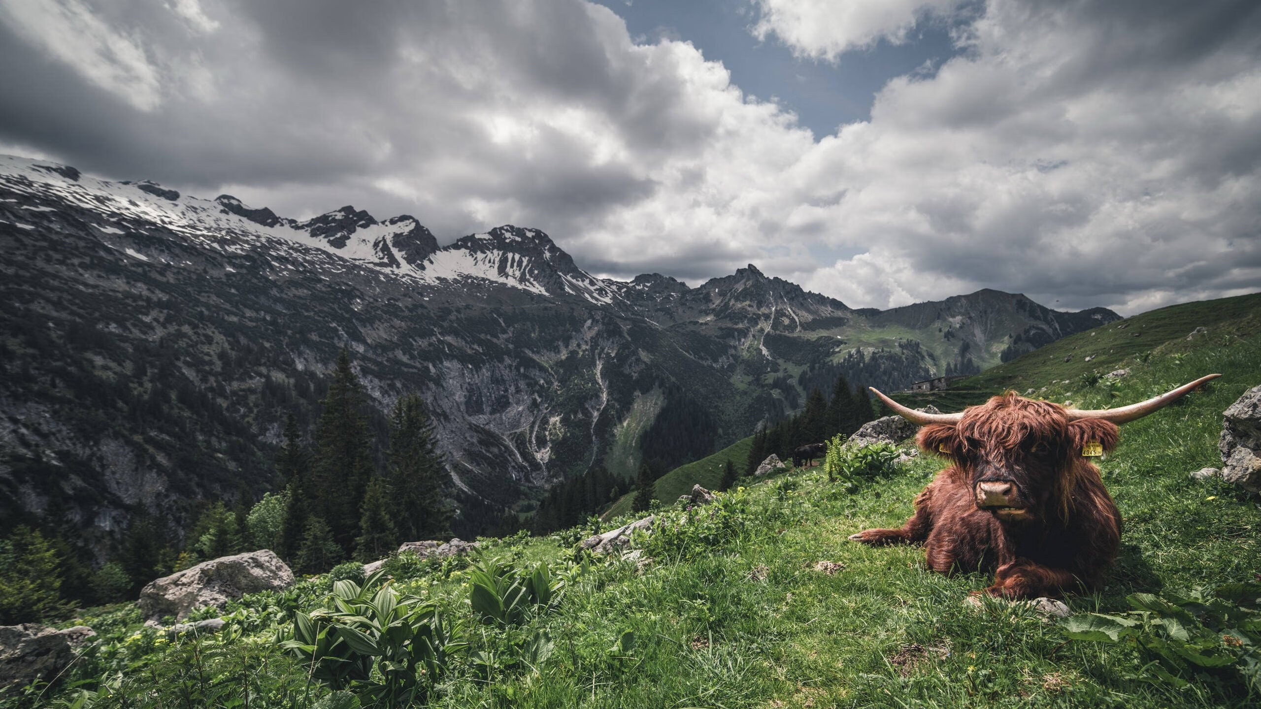 骑士vs广厦，NBA总决赛的跨洋焦点战，改写篮球历史