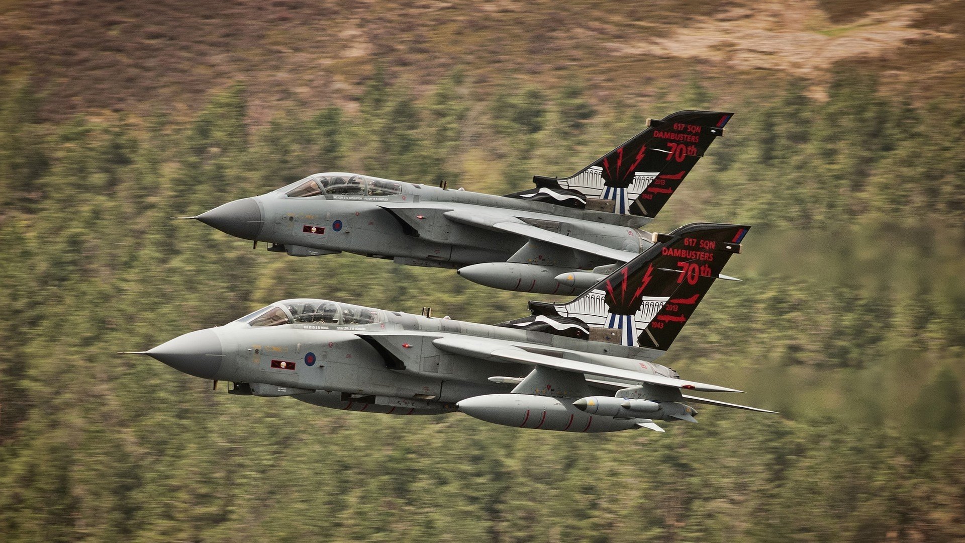 跨界制霸，塔图姆从麦迪逊广场花园杀向F1街道赛的终极接管