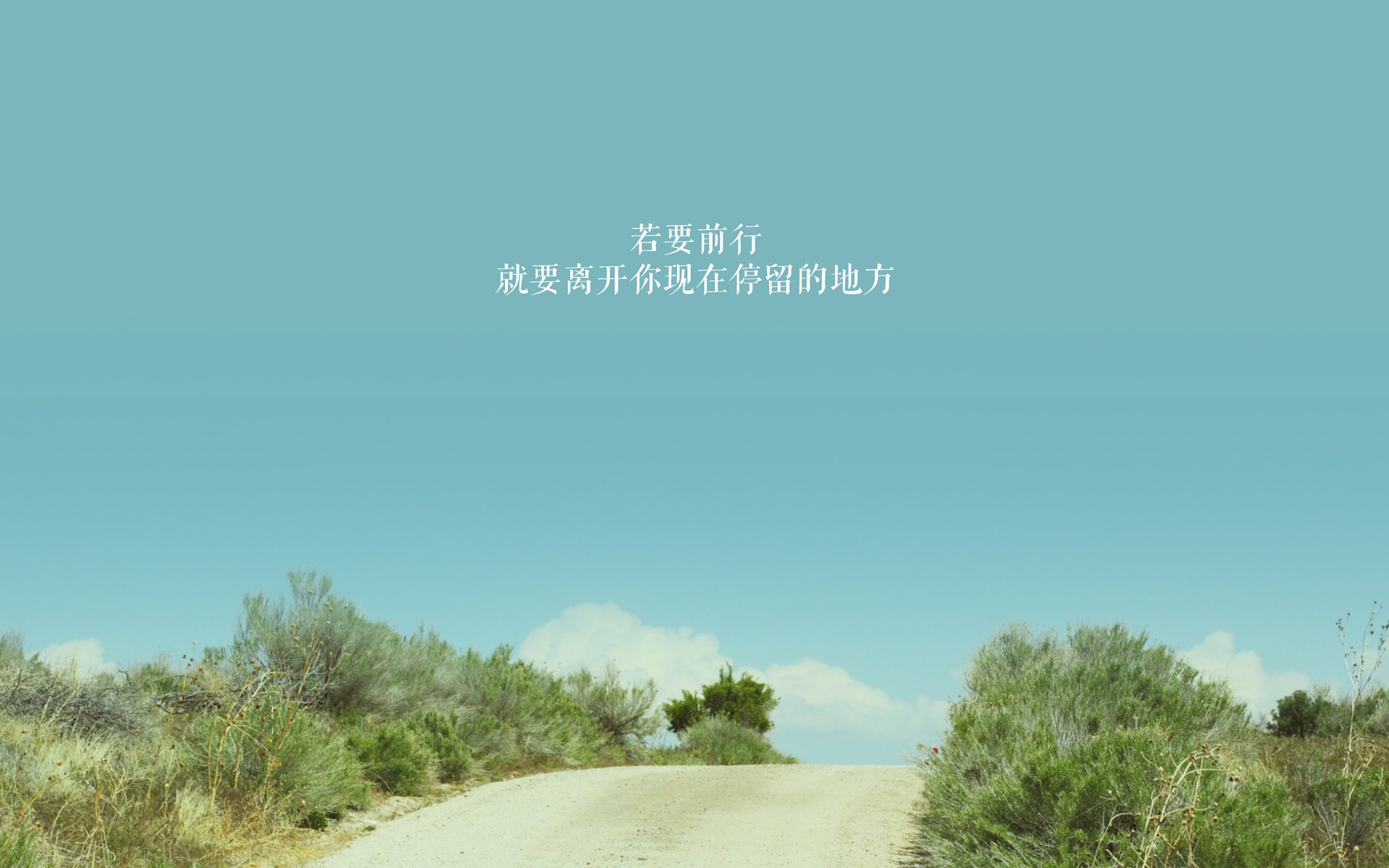 绝境中的王者,2026世界杯H组,意大利逆转韩国,莱万多夫斯基的致命一击书写唯一传奇