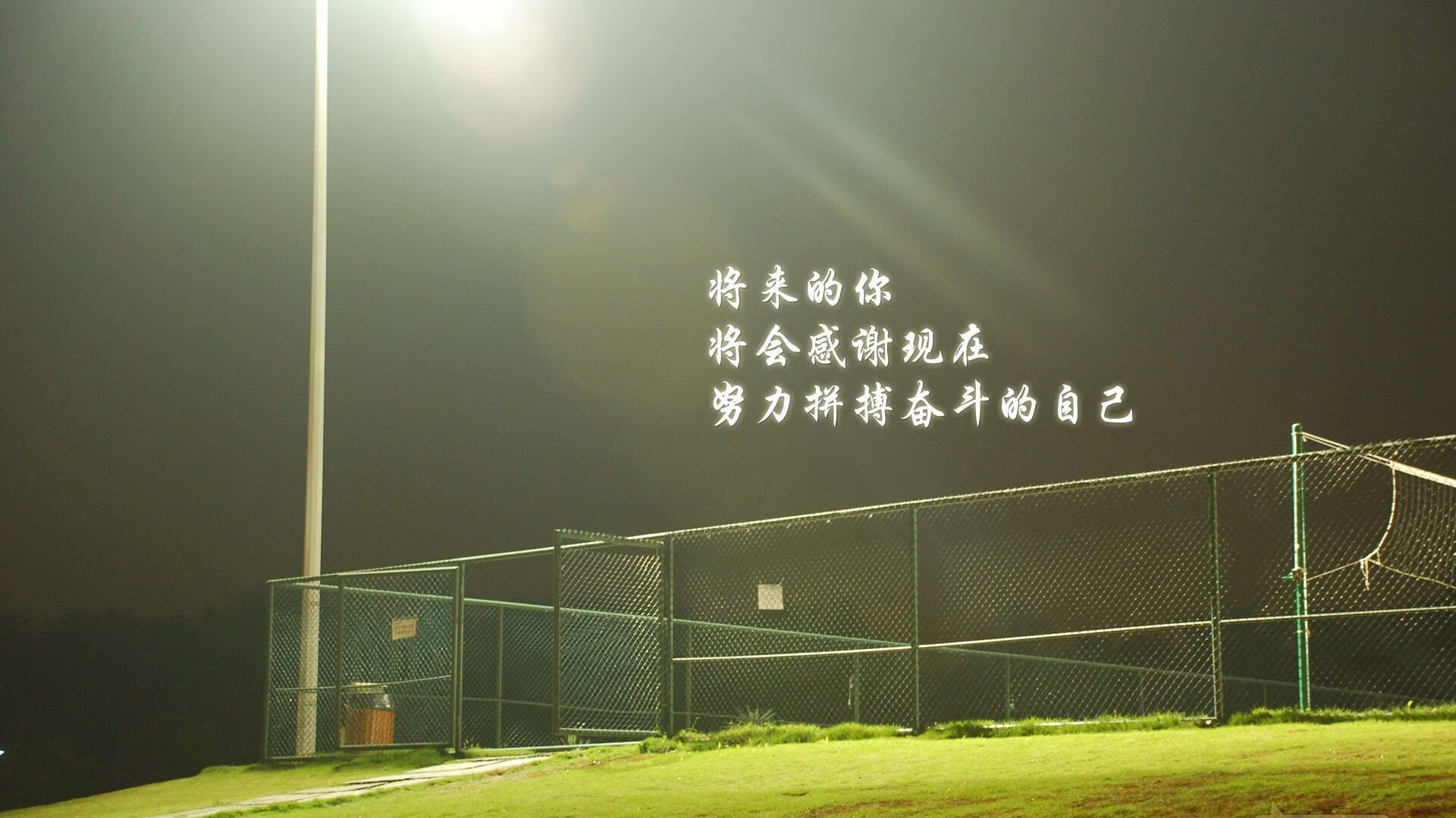 孤峰独峙，2026世界杯B组关键战，伊朗碾压芬兰，B费独擎葡萄牙突围