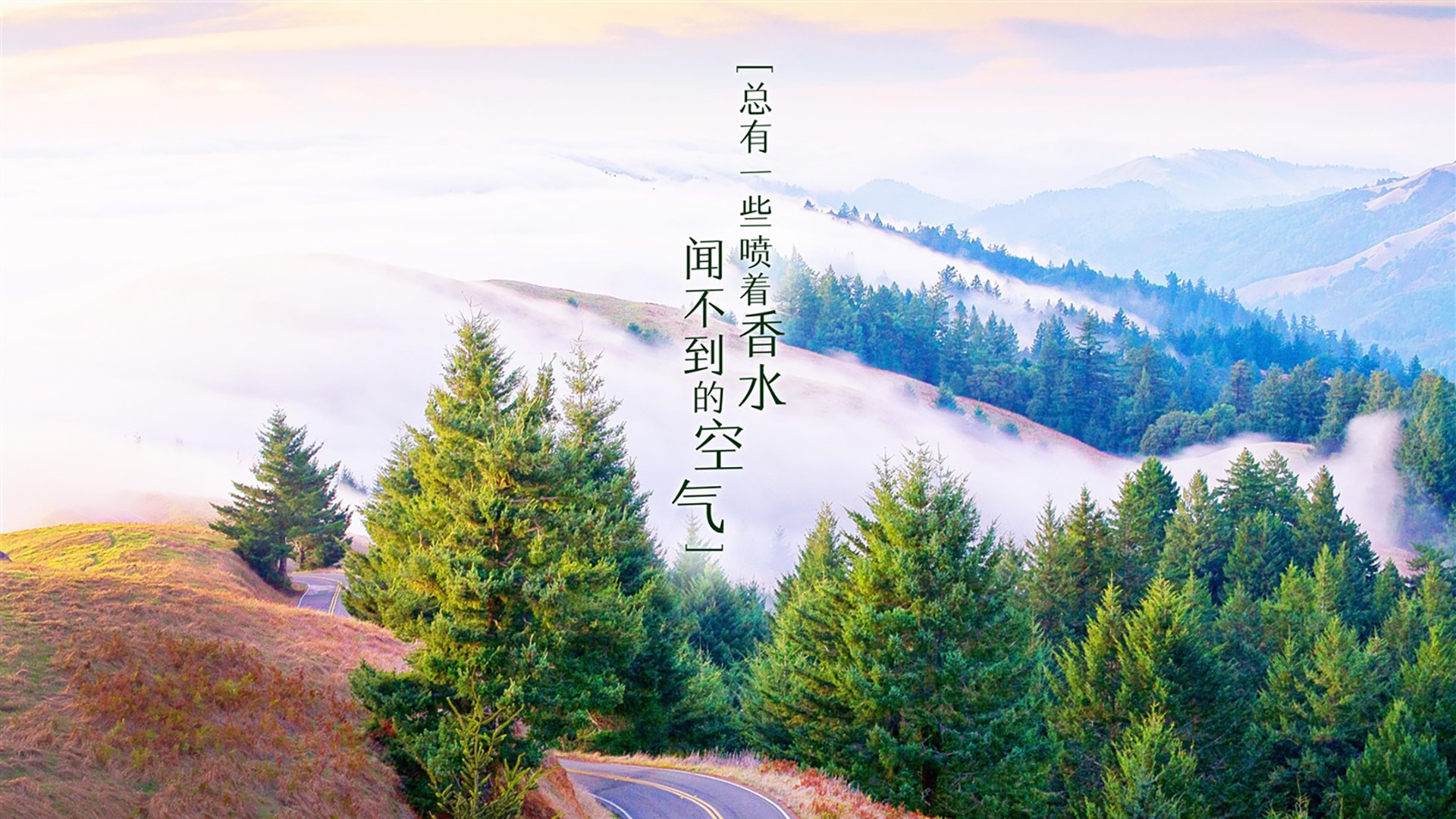 独步天下,2026世界杯H组焦点战,葡萄牙碾压突尼斯,穆西亚拉以火热状态书写唯一传奇