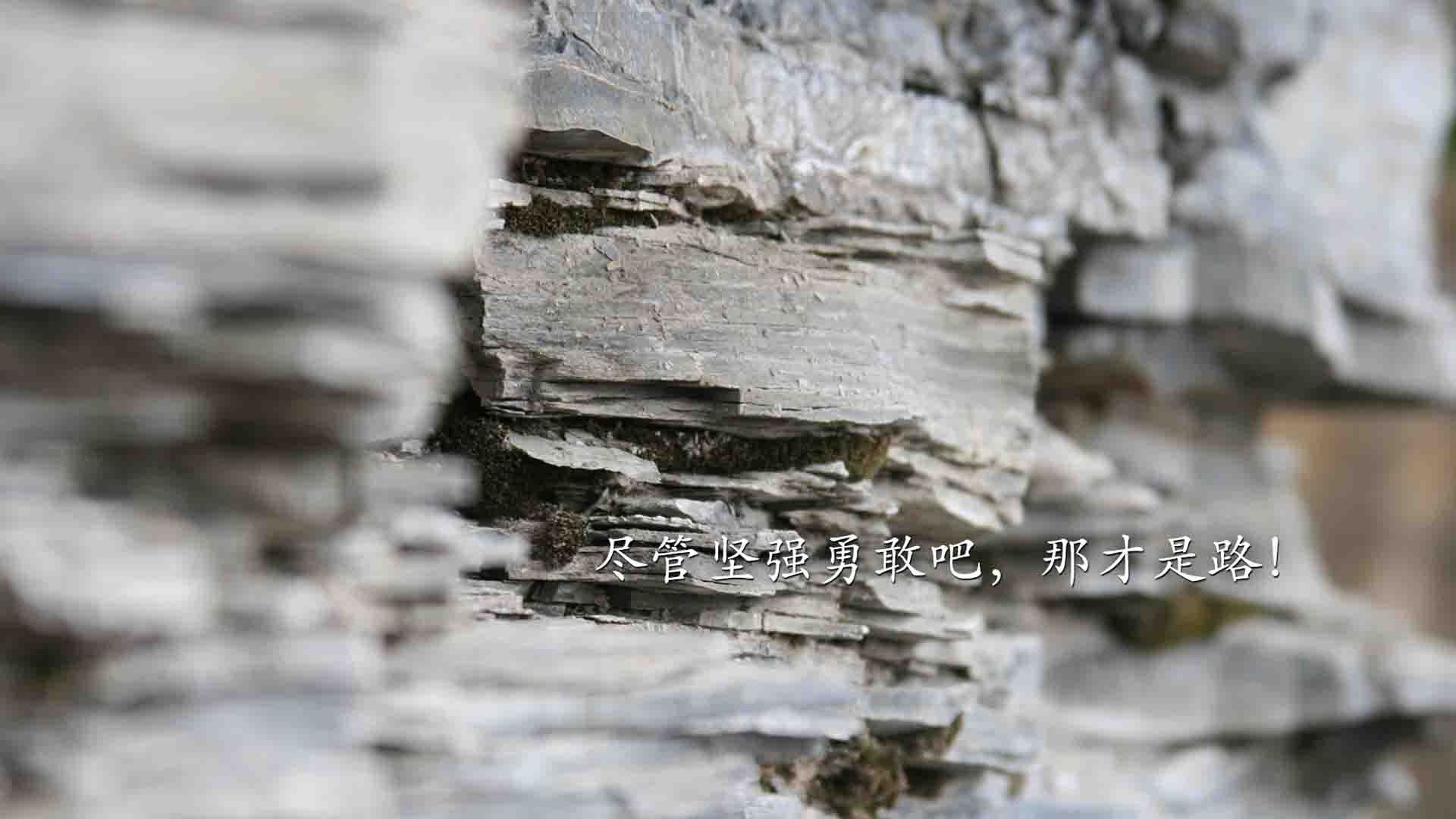 沙漠风暴,当三狮军团用钢铁洪流碾碎命运,费利克斯在废墟上点亮孤星